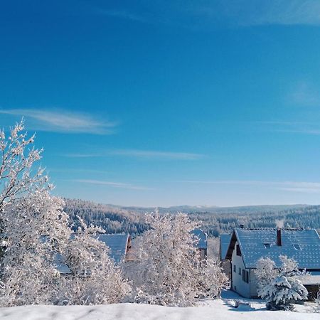 Gite Des Roches La Chaux-du-Dombief Kültér fotó
