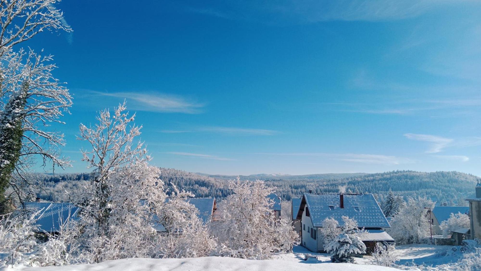 Gite Des Roches La Chaux-du-Dombief Kültér fotó